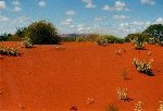 Der Uluru aus 20 km Entfernung