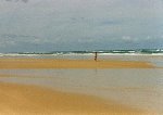 Der Strand von Fraser Island