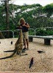 arme hungrige Kangaroos :-)