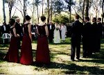 Hochzeit im Hain am See in Canberra