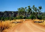 Windjana Gorge