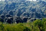 Purnululu NP (Bungle Bungle)