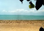 Strand bei Darwin