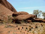 Eier der Regenbogenschlange am Uluru