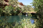 Dales Gorge, Fern Pool