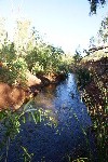 Crossing Pool