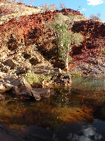 Hamersley Gorge