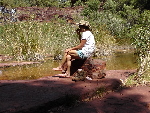 Dales Gorge