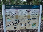 Mamukala Wetlands