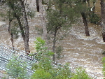 Die Flüsse führen Hochwasser; hier der Cotter River
