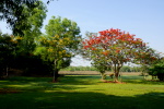 Litchfield National Park