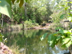 Walker Creek