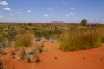 Ein letzter Blick zum Uluru