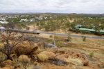 Alice Springs, Rock Wallaby