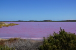 Pink Lake