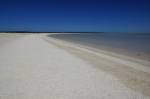 Shark Bay - Shell Beach