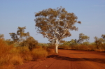 Karijini National Park