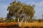 Karijini National Park