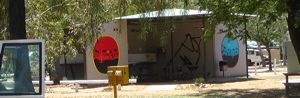 Alice Springs - Tommy Crow Wandgemälde