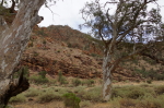 Flinders Ranges - Brachina Gorge