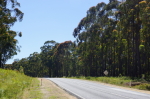 Victoria - Princess Highway