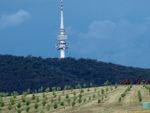 Canberra - Telstra Tower