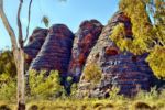 Purnululu NP - Bungle Bungle