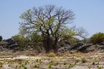 Devonian Reef Conservation Park