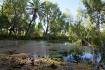 Millstream-Chichester National Park