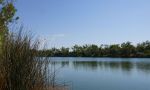 Millstream-Chichester National Park, Deepreach Pool