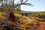 Karijini National Park, Oxer Lookout