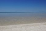 Shark Bay, Shell Beach