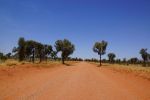 Great Central Road, Desert Oaks