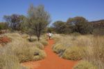 Finke Gorge National Park, Palm Valley