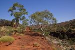 Finke Gorge National Park, Palm Valley