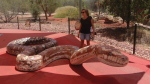 Alice Springs, Desert Park