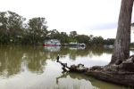 Mildura am Mighty Murray River