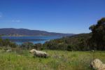 NSW, Great Dividing Range, Blowering Reservoir