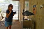 Alice Springs Desert Park