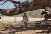 Boab mit Elfi-Engramm