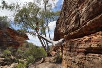 Kalbarri National Park - Z-Band