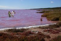 Pink Lake