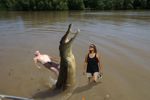 Jumping Crocodile