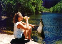 Pool bei den Jim Jim Falls